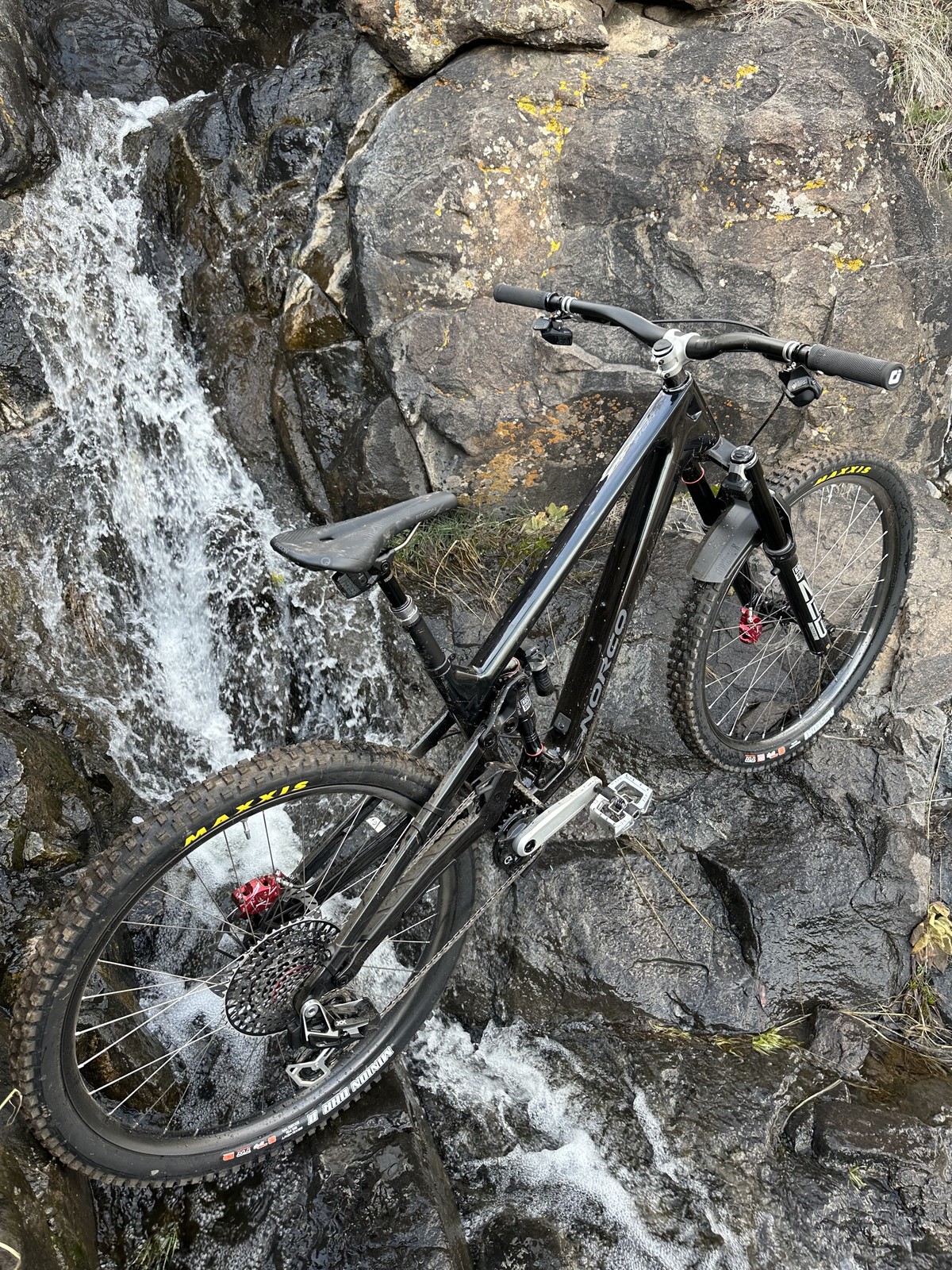 w4 Norco Sight 2024 11.jpg?VersionId=YJV.qF7z VEmpDZDsF67t7z2